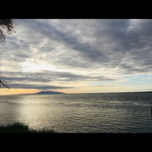 Meet your Posher, Mia